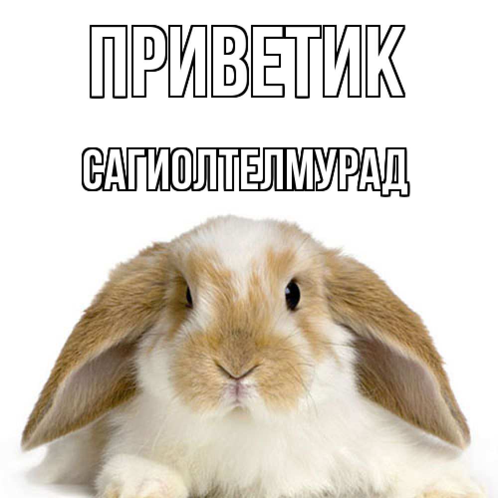 Открытка  с именем. САГИОЛТЕЛМУРАД, приветик  