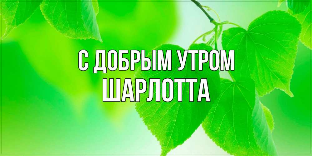 Открытка  с именем. Шарлотта, С добрым утром  