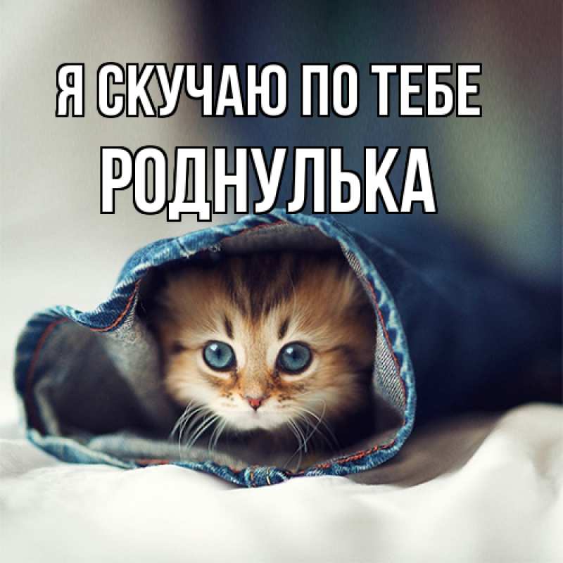 Картинка Я скучаю по тебе, роднулька