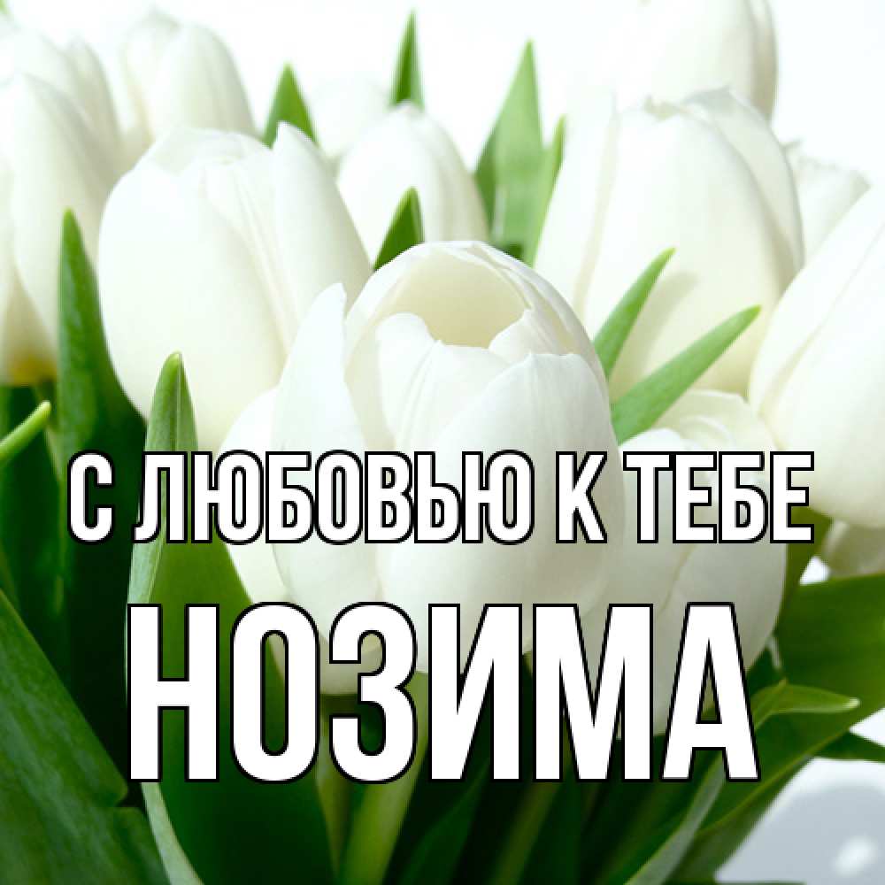 Открытка  с именем. НОЗИМА, С любовью к тебе  
