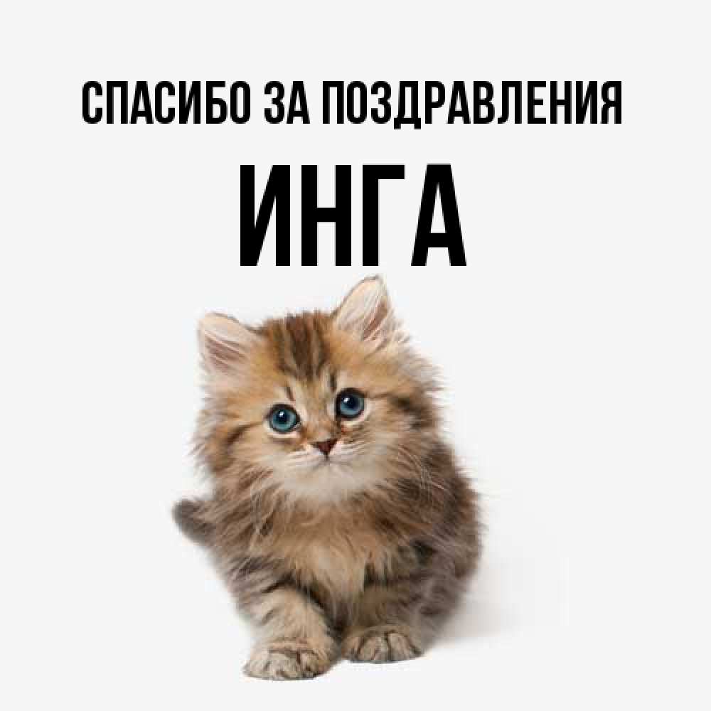 Открытка  с именем. Инга, Спасибо за поздравления  
