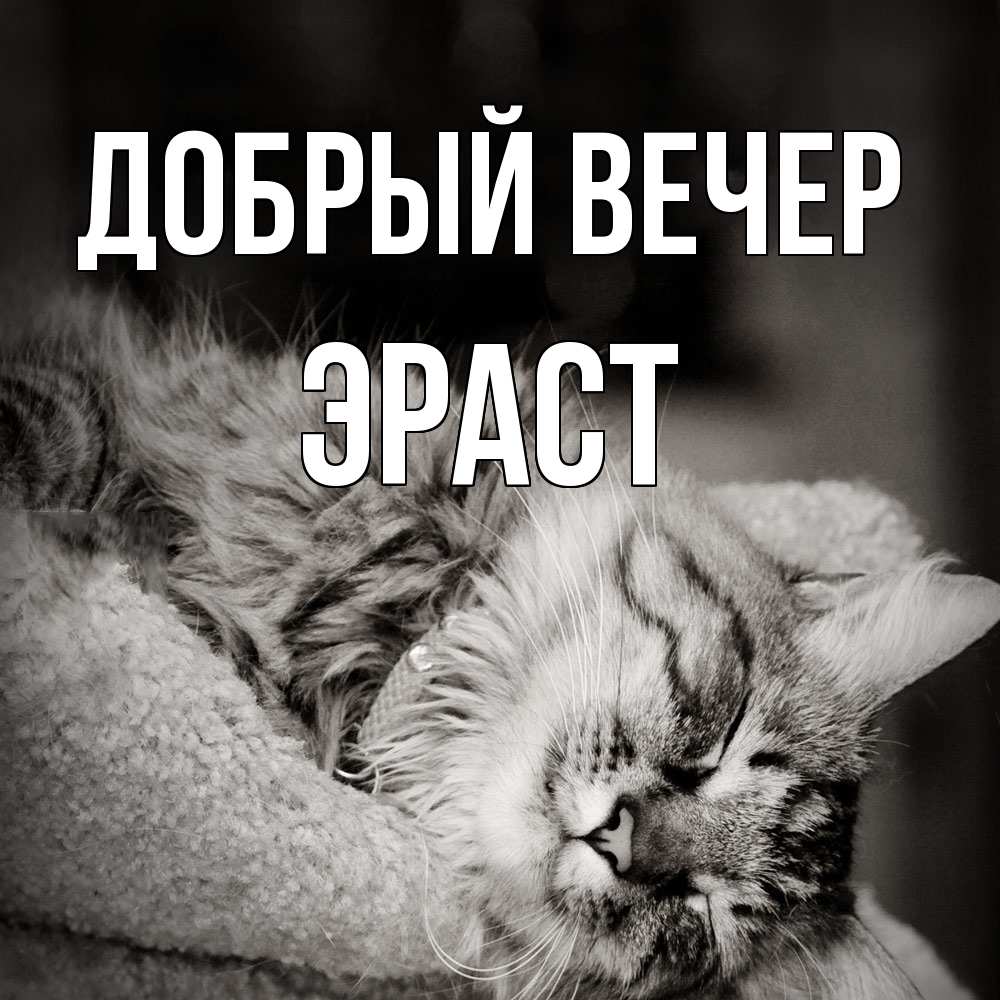 Открытка  с именем. Эраст, Добрый вечер  