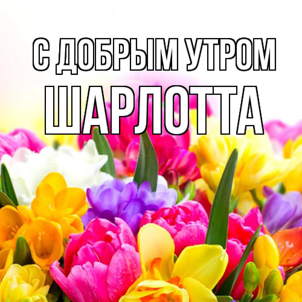 Открытка  с именем. Шарлотта, С добрым утром  