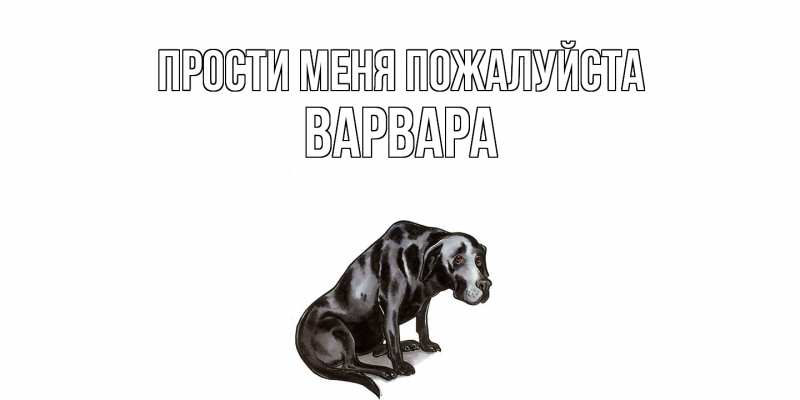 Картинка Прости меня пожалуйста, варвара