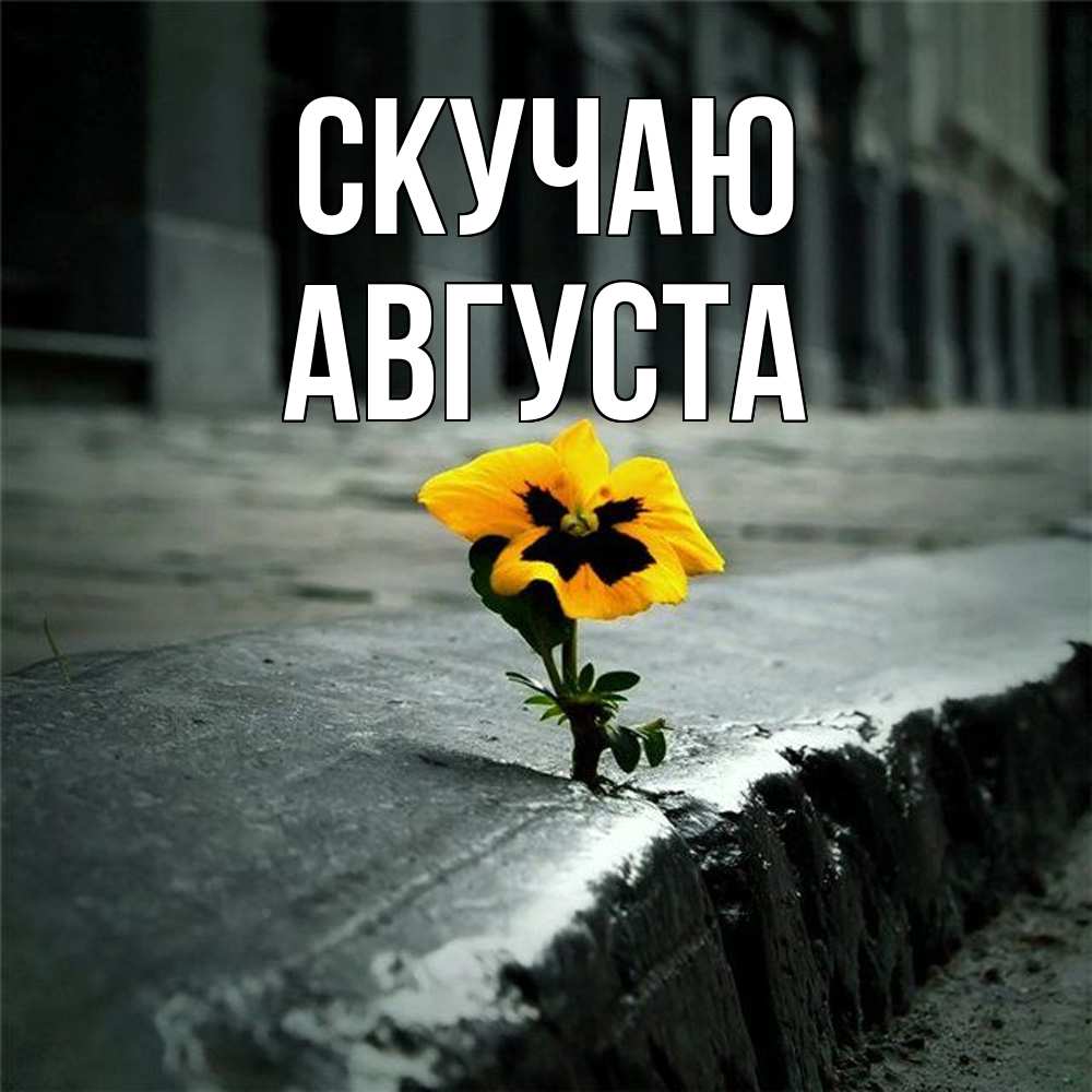 Открытка  с именем. Августа, Скучаю  
