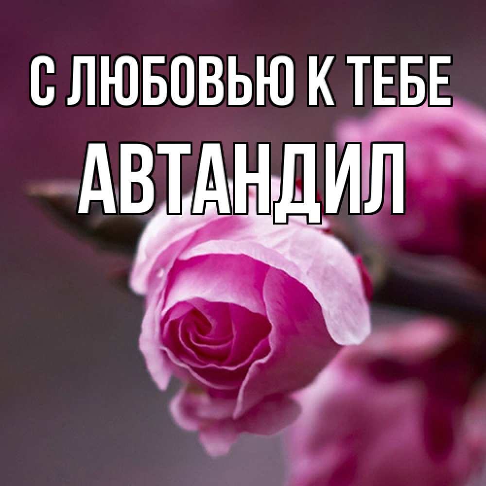 Открытка  с именем. Автандил, С любовью к тебе  