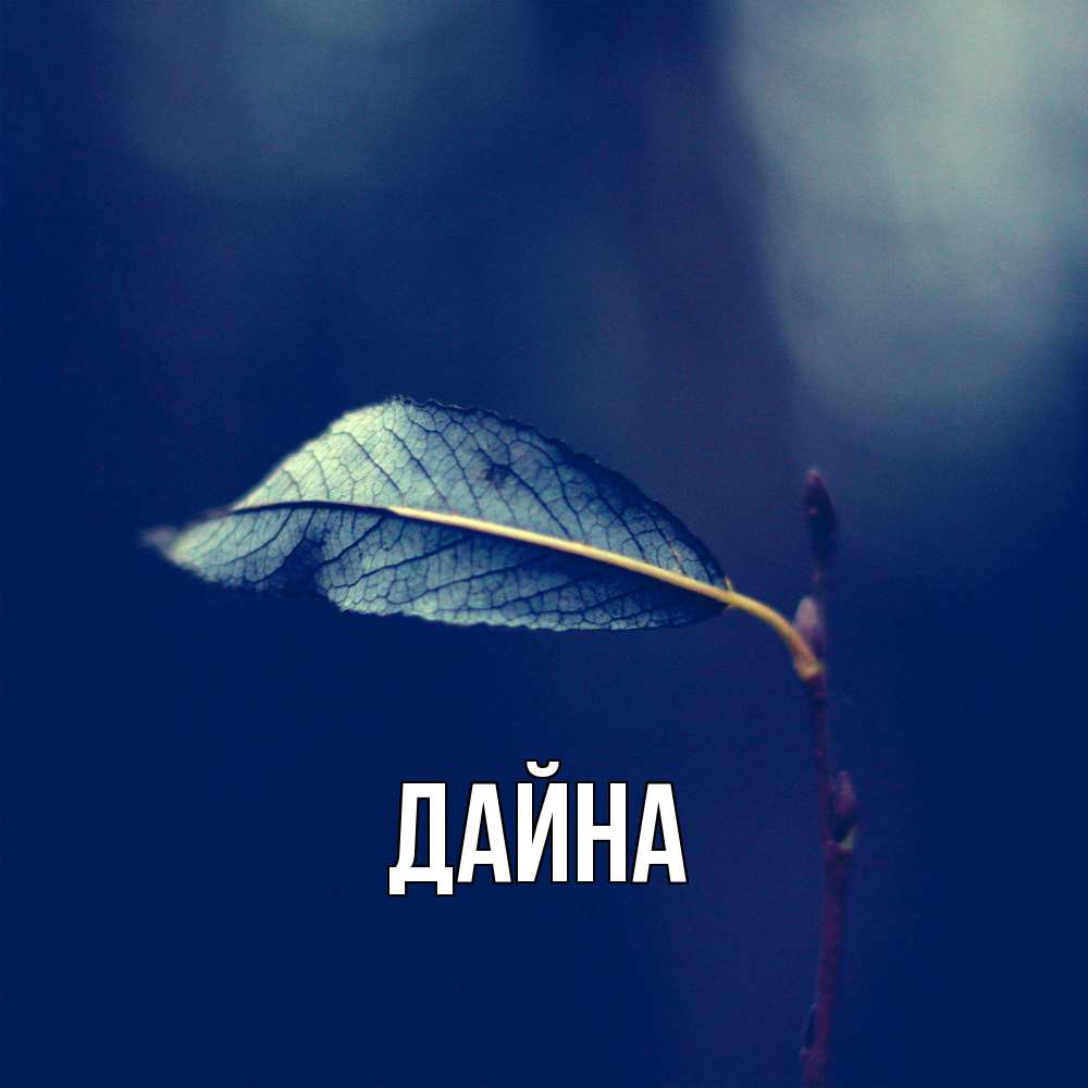 Открытка  с именем. Дайна, Главная  