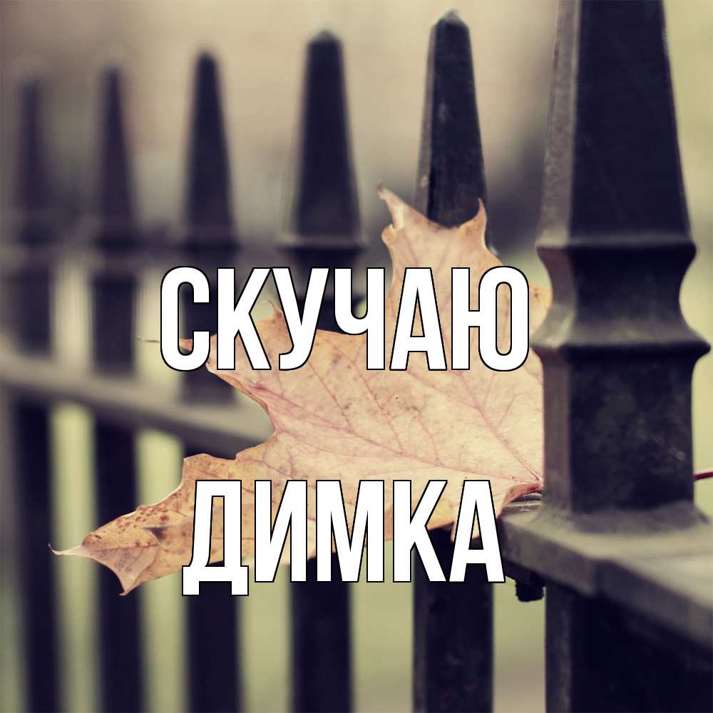 Открытка  с именем. ДИМКА, Скучаю  