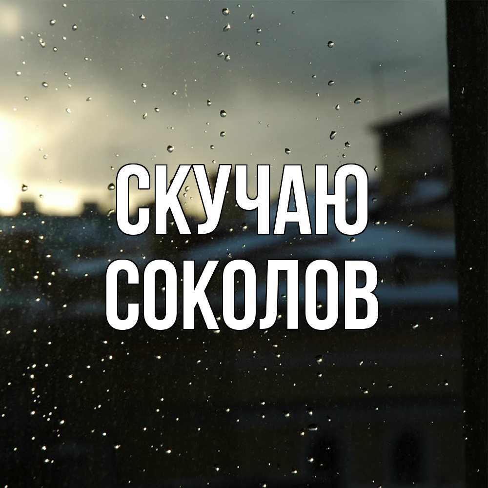 Открытка  с именем. Соколов, Скучаю  