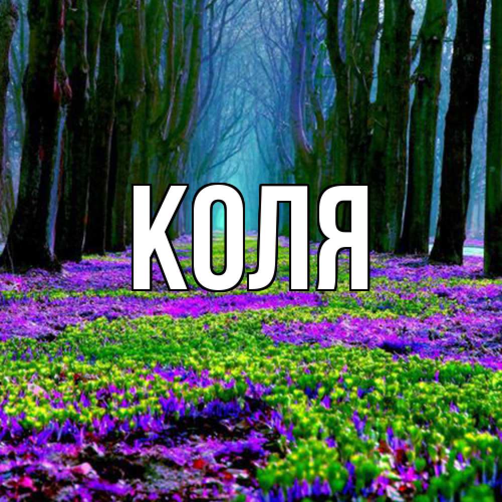 Открытка  с именем. коля, Главная  