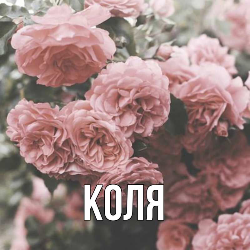Картинка  с именем , коля