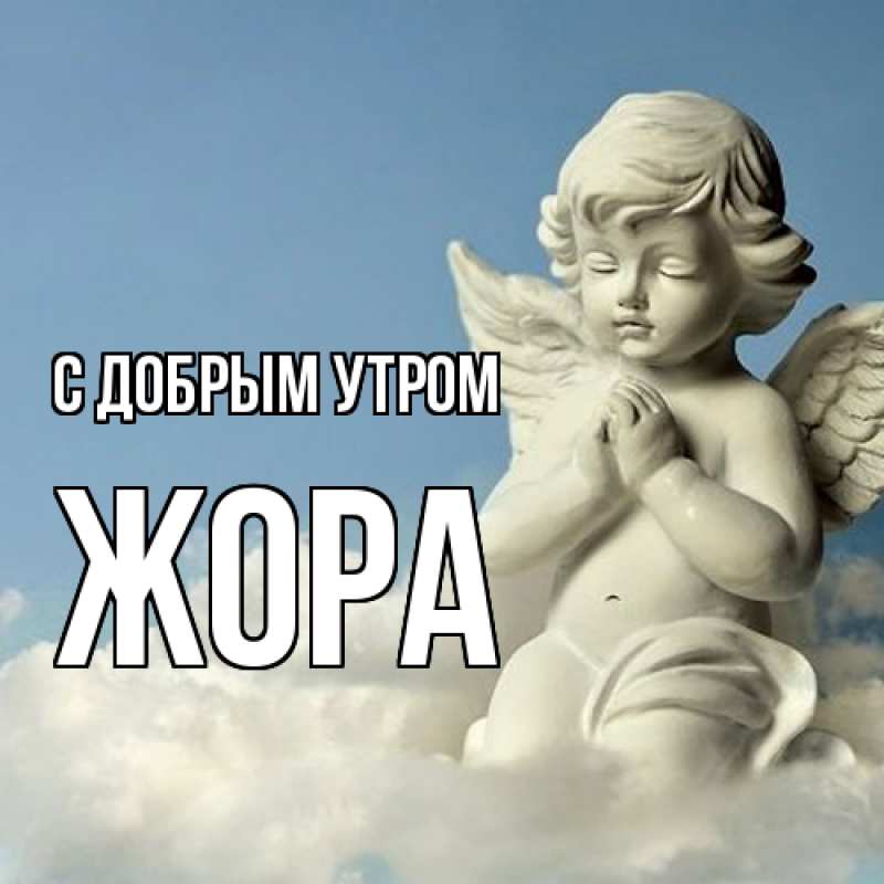 Картинка С добрым утром, Жора