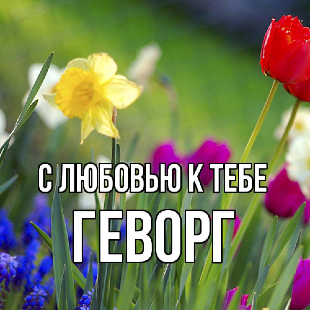 Открытка  с именем. Геворг, С любовью к тебе  