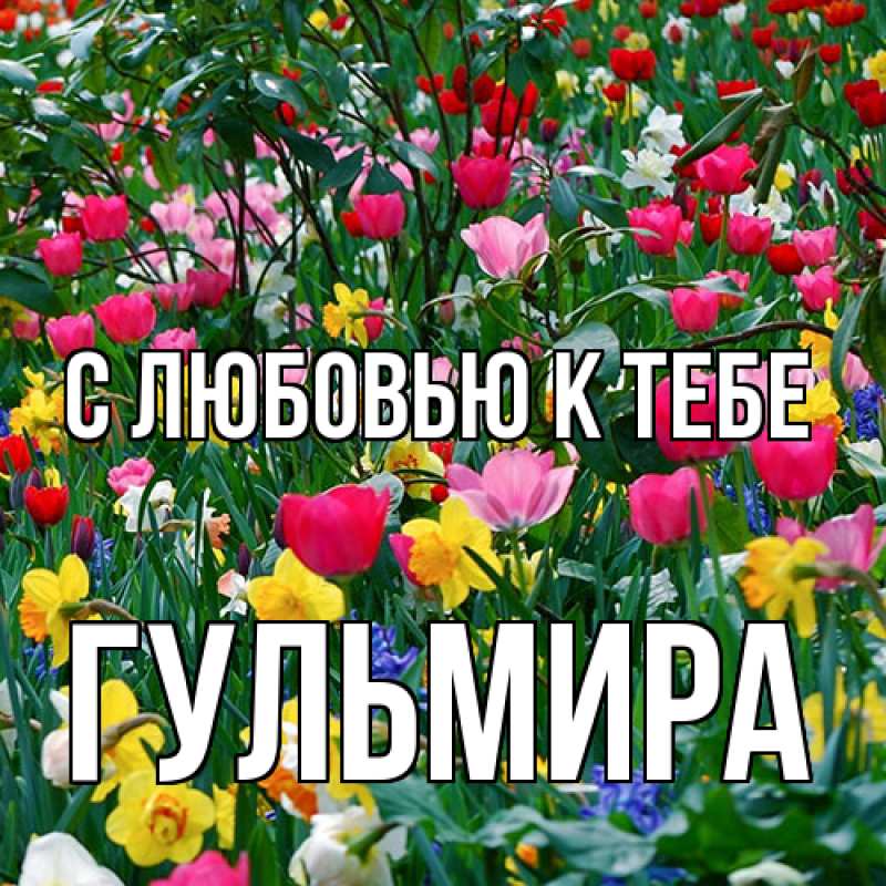 Картинка С любовью к тебе, Гульмира