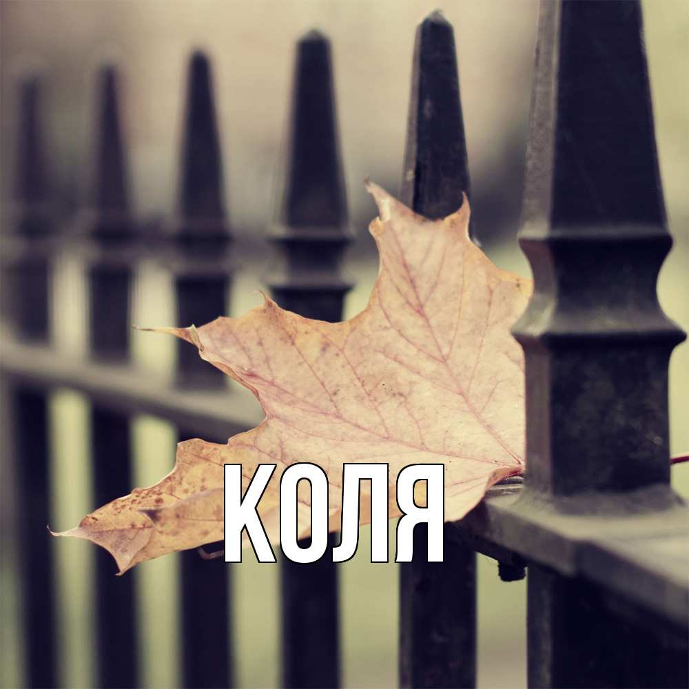 Открытка  с именем. коля, Главная  