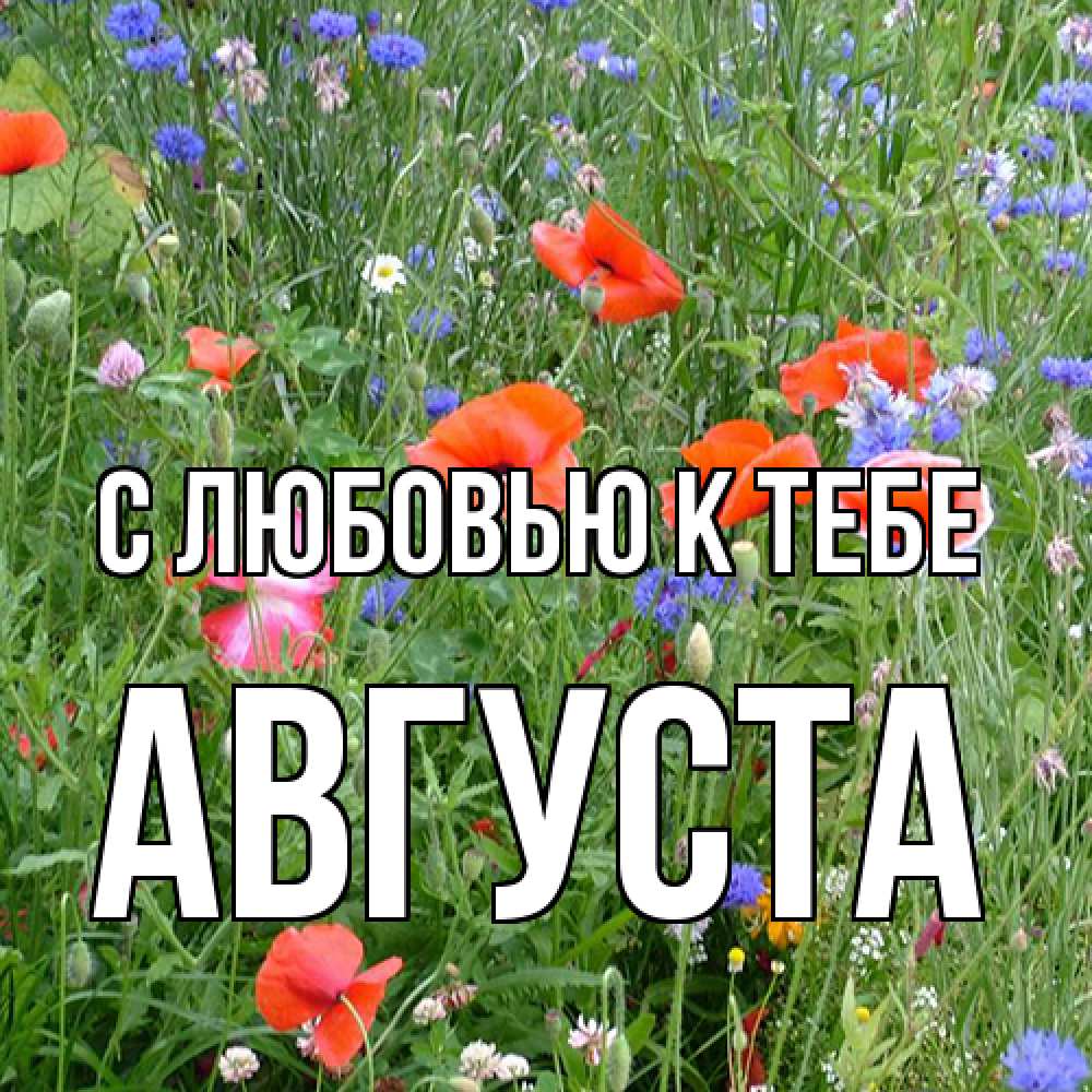 Открытка  с именем. Августа, С любовью к тебе  