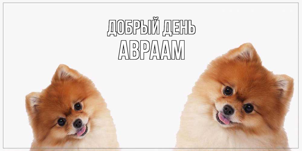Открытка  с именем. Авраам, Добрый день  