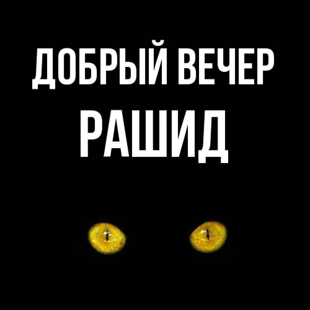 Открытка  с именем. Рашид, Добрый вечер  