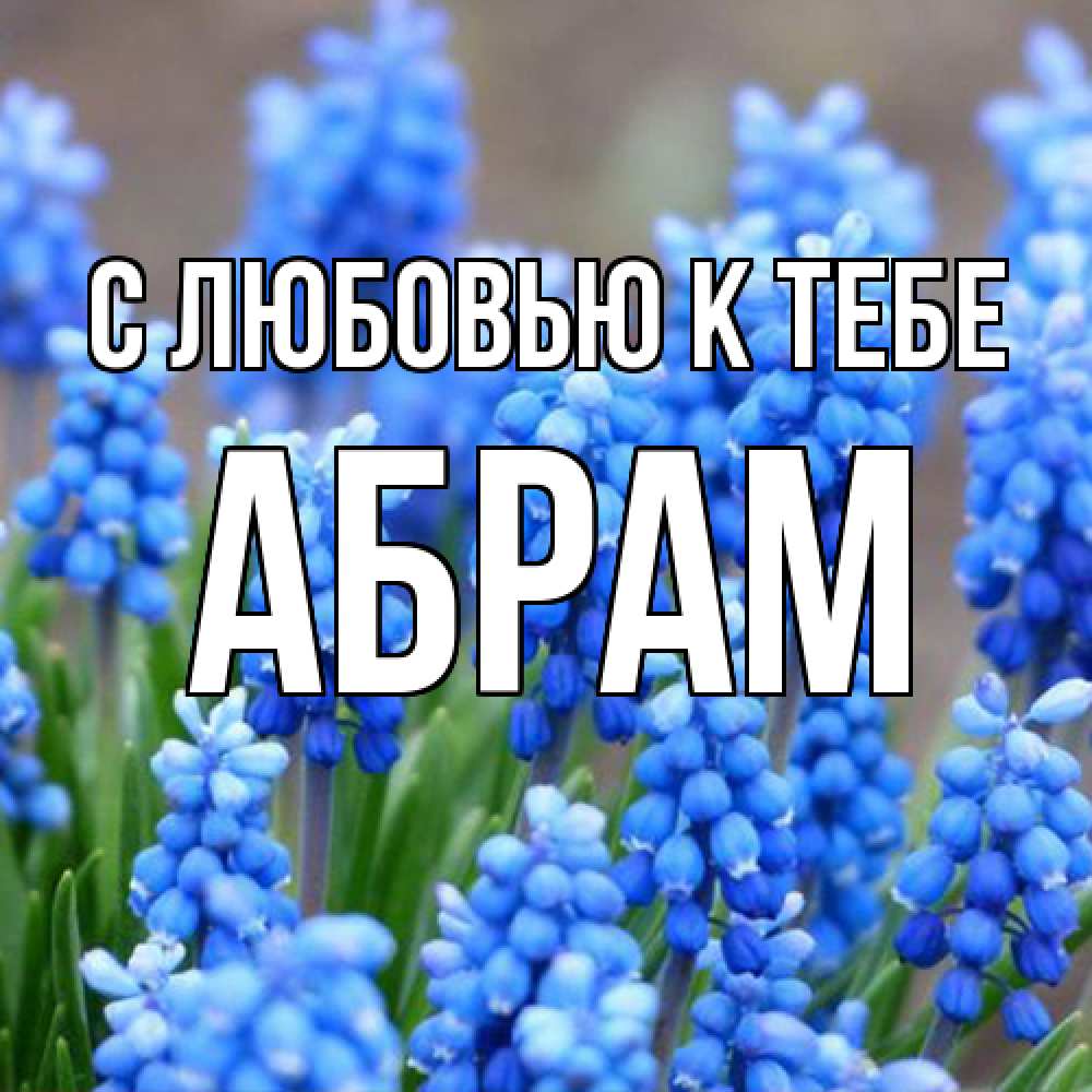 Открытка  с именем. Абрам, С любовью к тебе  