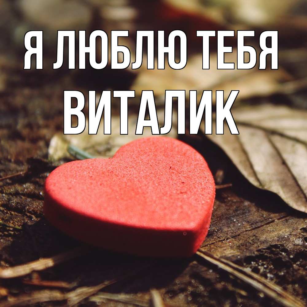 Открытка  с именем. Виталик, Я люблю тебя  
