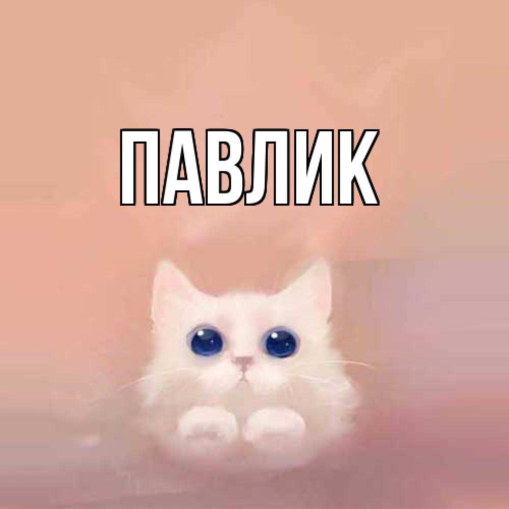 Открытка  с именем. Павлик, Главная  