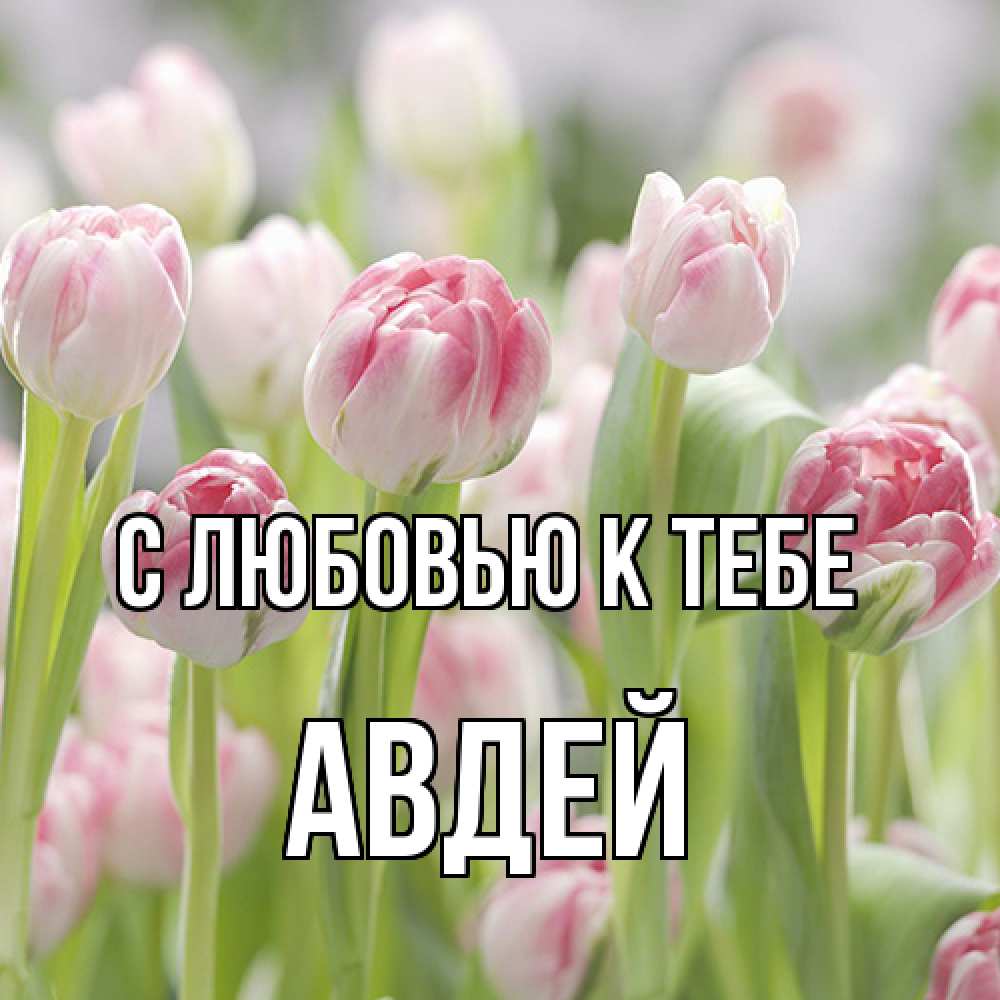 Открытка  с именем. Авдей, С любовью к тебе  