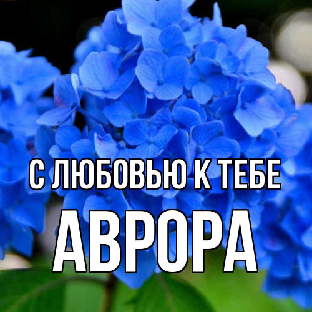 Открытка  с именем. Аврора, С любовью к тебе  
