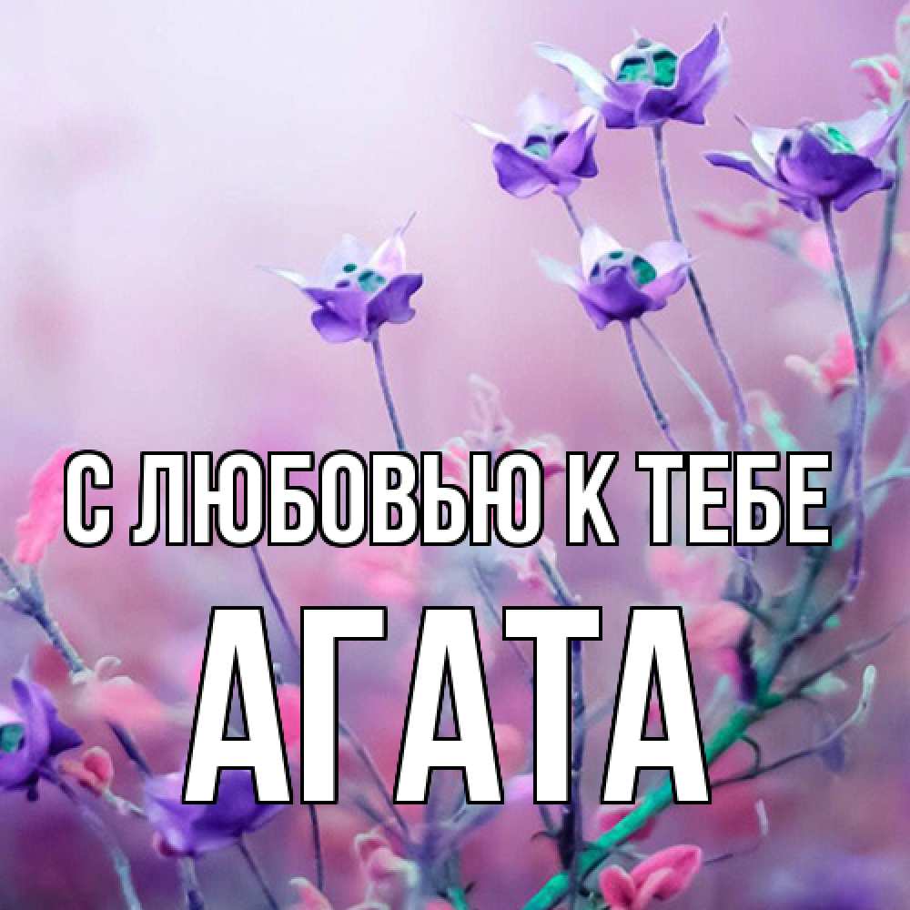 Открытка  с именем. Агата, С любовью к тебе  