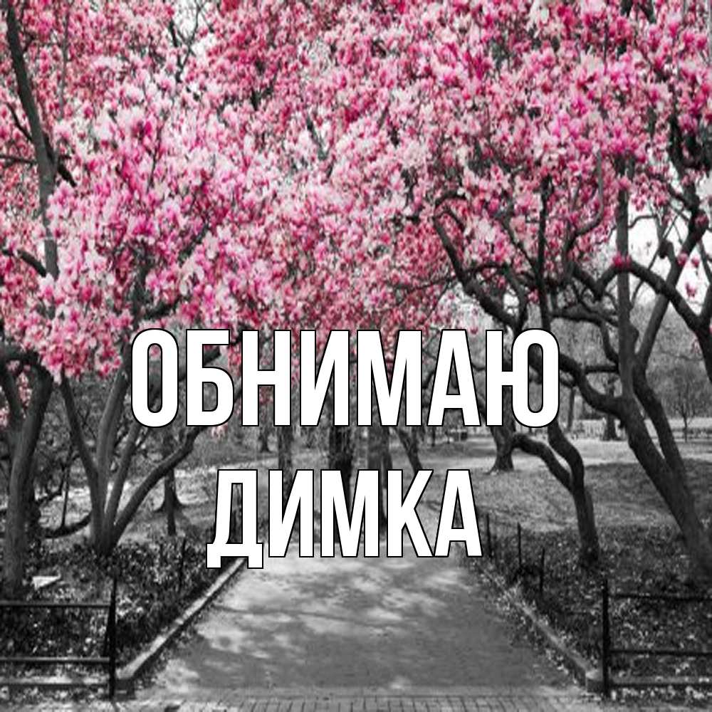 Открытка  с именем. ДИМКА, Обнимаю  