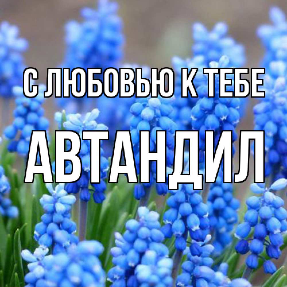 Открытка  с именем. Автандил, С любовью к тебе  