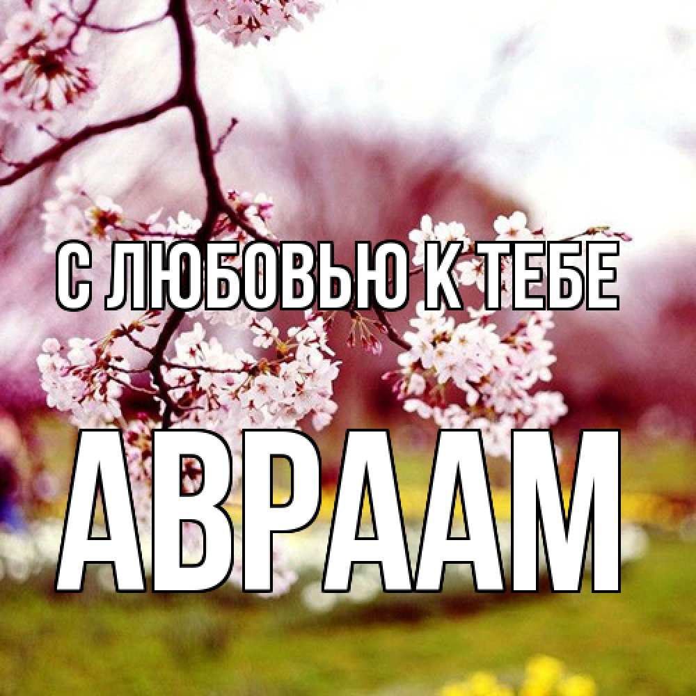 Открытка  с именем. Авраам, С любовью к тебе  