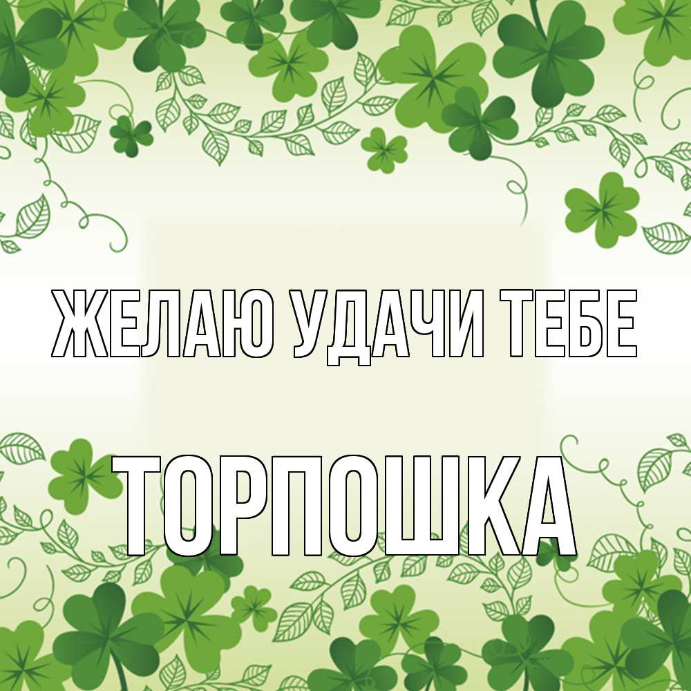 Открытка  с именем. торпошка, Желаю удачи тебе  