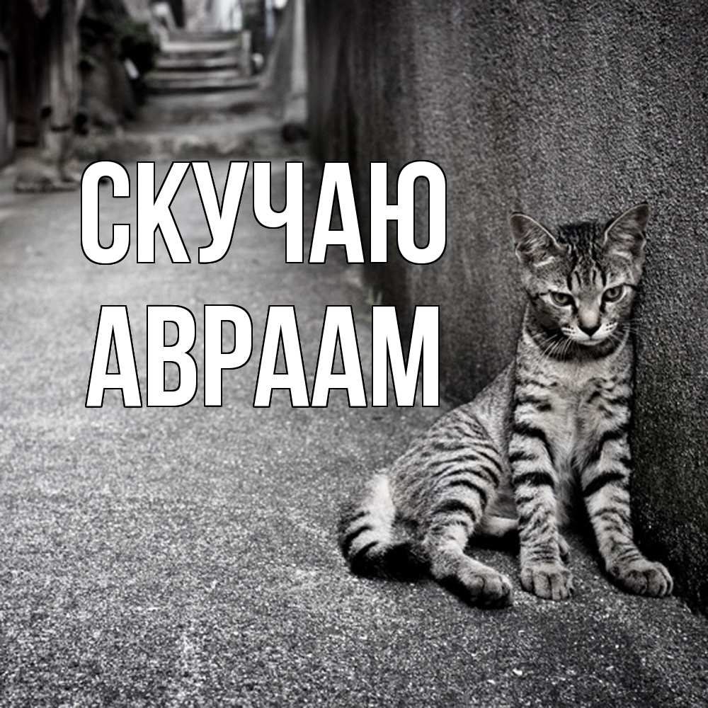 Открытка  с именем. Авраам, Скучаю  