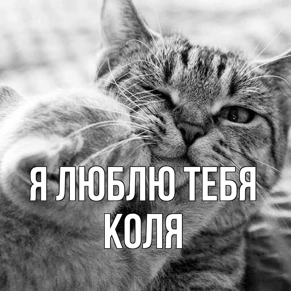 Открытка  с именем. коля, Я люблю тебя  