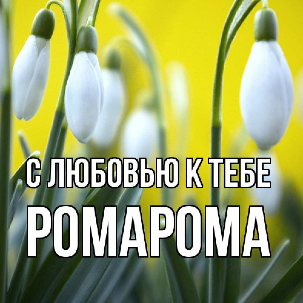 Открытка  с именем. РомаРома, С любовью к тебе  