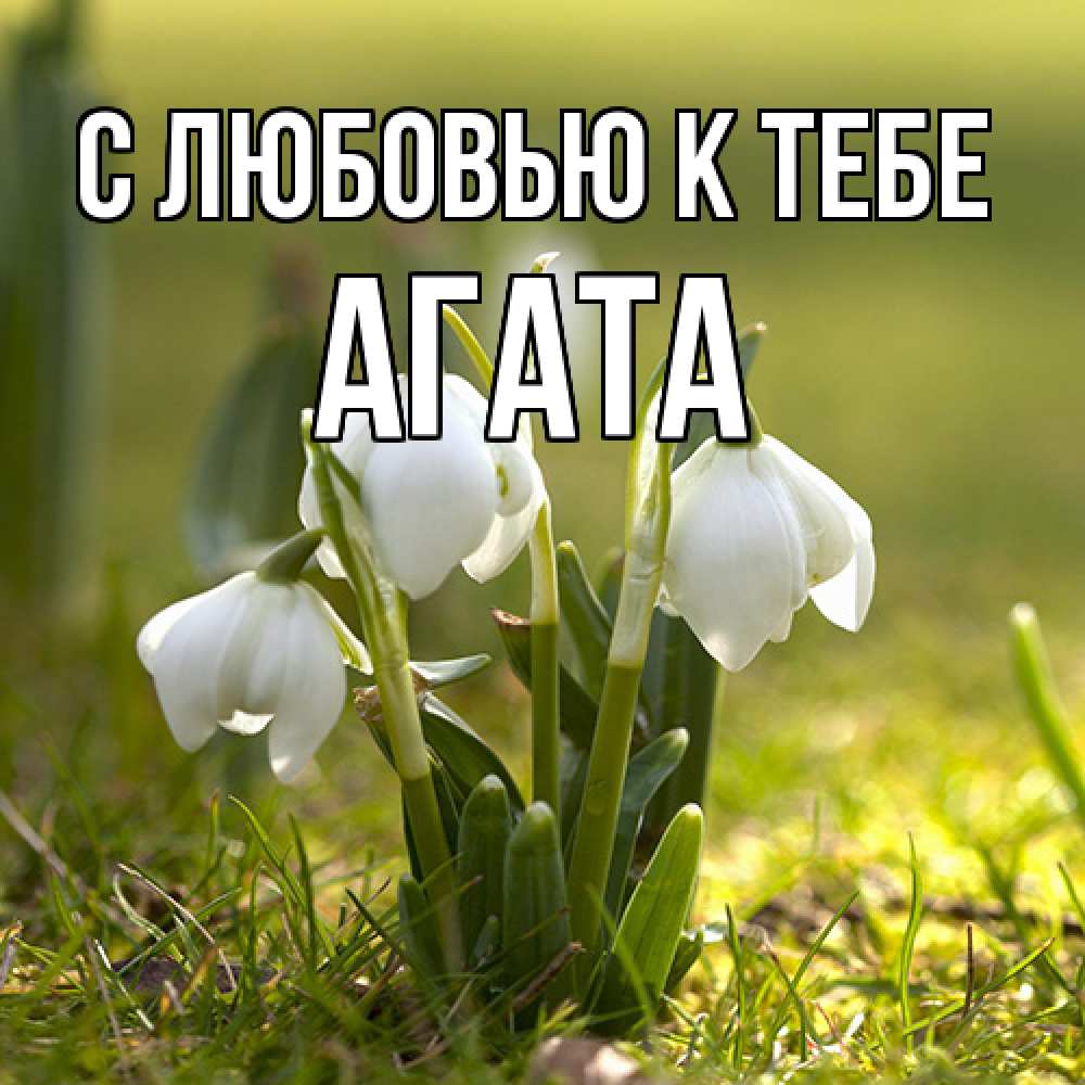 Открытка  с именем. Агата, С любовью к тебе  