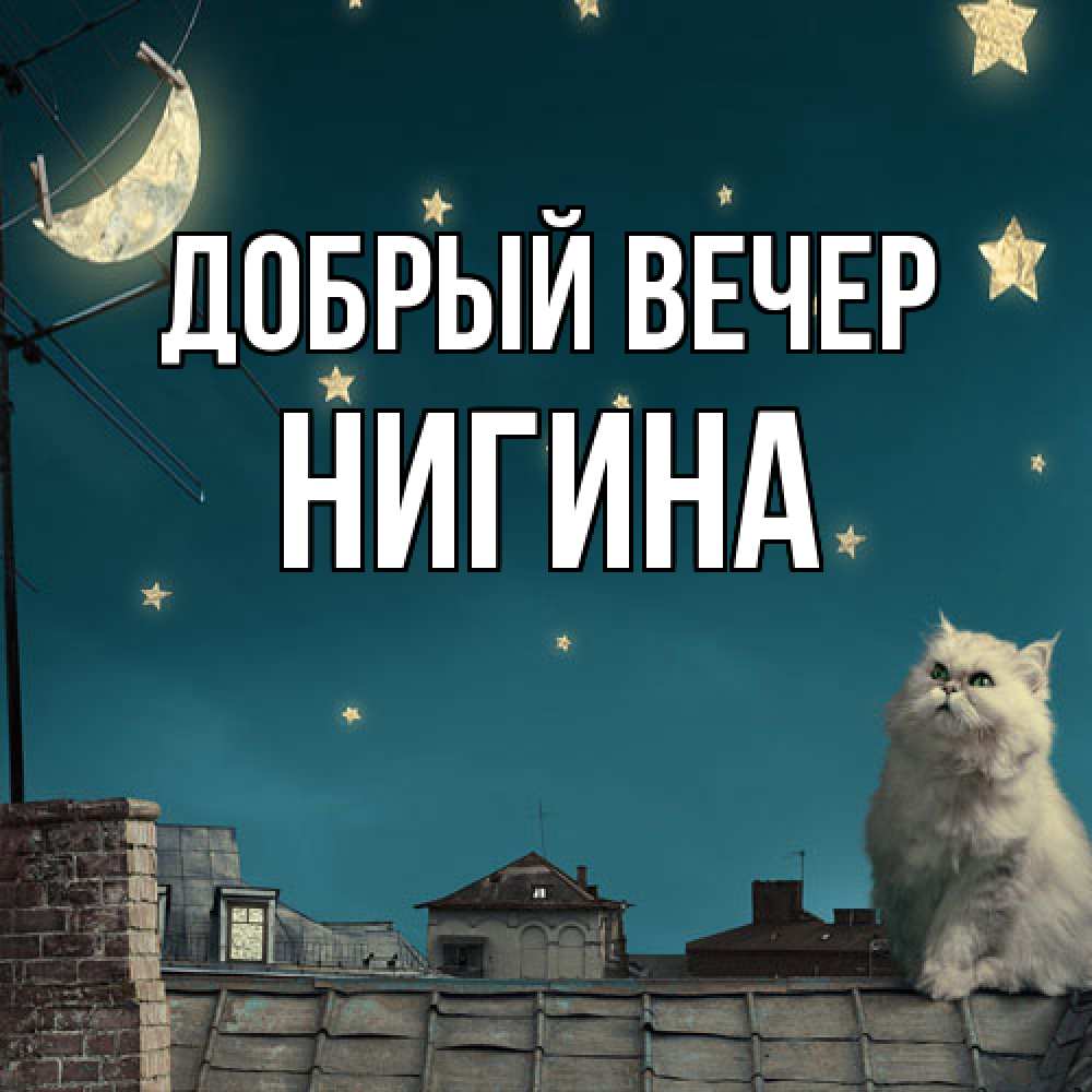Открытка  с именем. Нигина, Добрый вечер  
