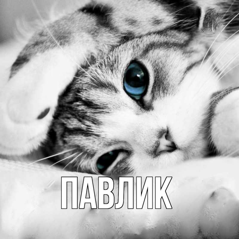 Картинка  с именем , Павлик