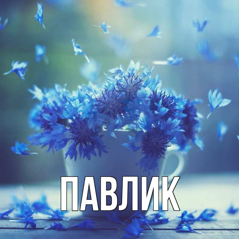 Открытка с именем, Павлик, 