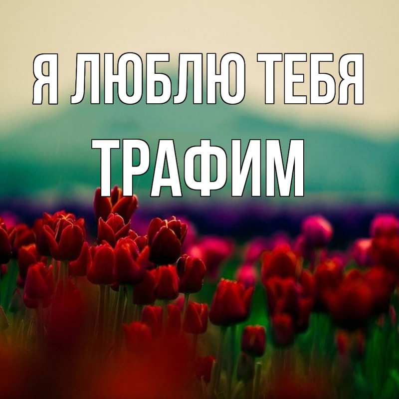 Картинка Я люблю тебя, трафим