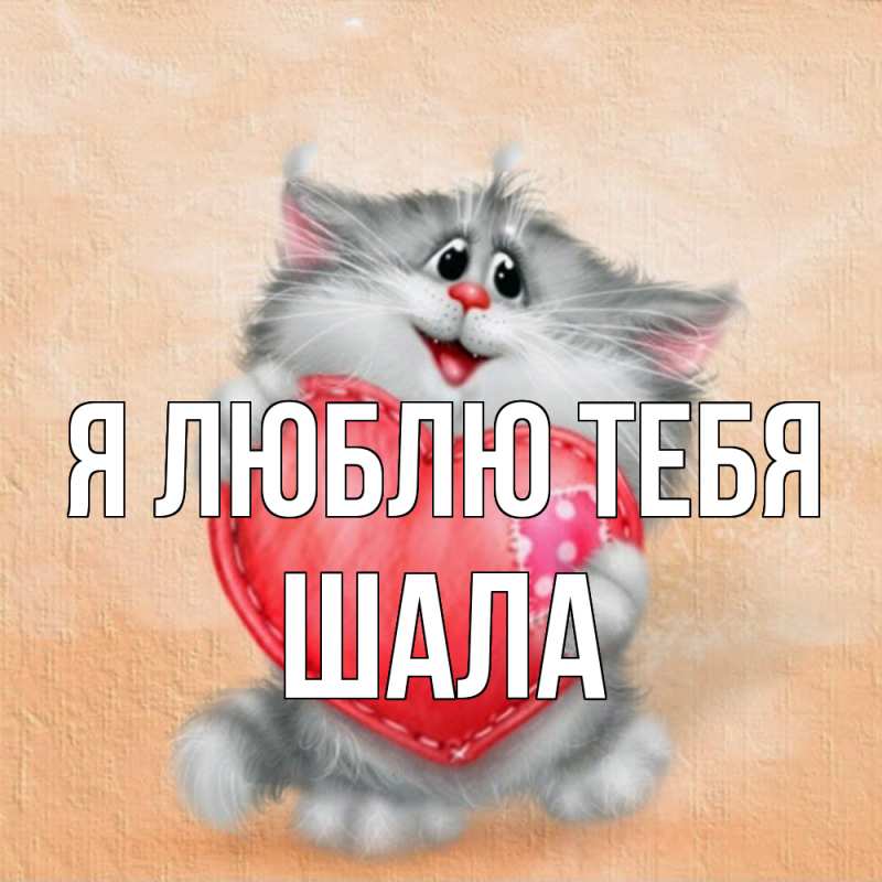 Картинка Я люблю тебя, Шала