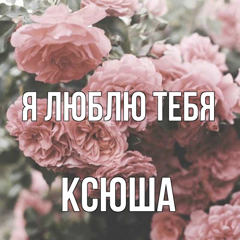 Картинка Я люблю тебя, Ксюша