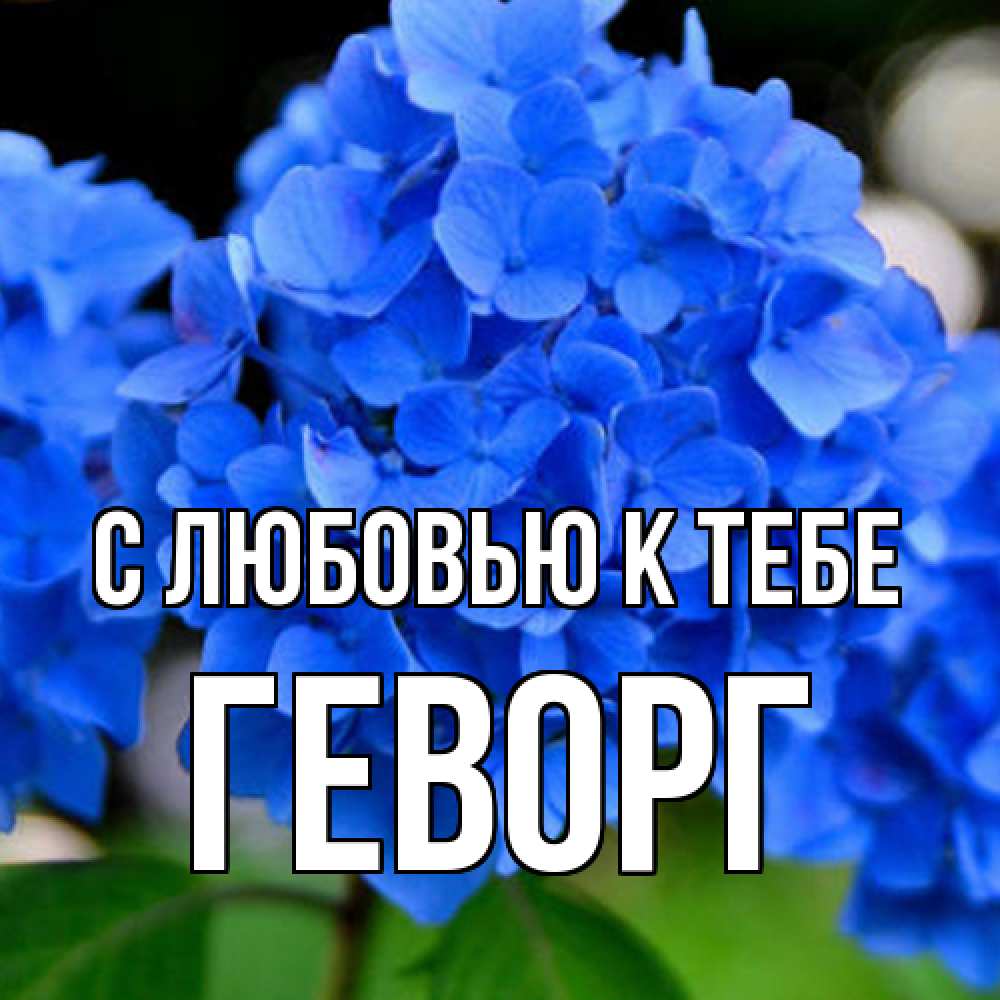 Открытка  с именем. Геворг, С любовью к тебе  