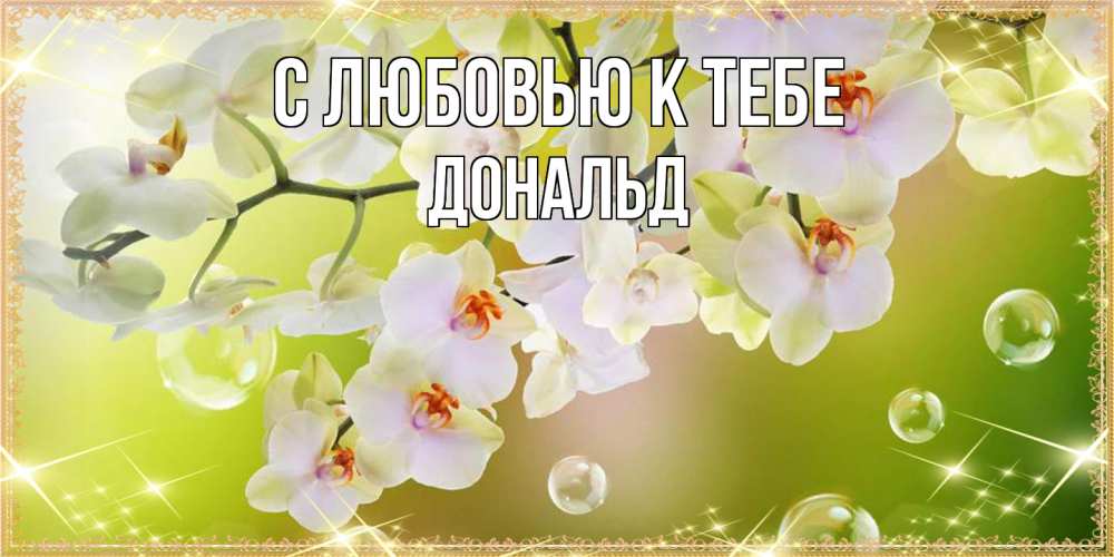 Открытка  с именем. Дональд, С любовью к тебе  