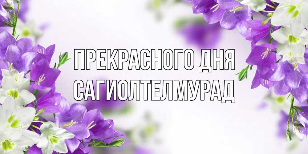 Открытка  с именем. САГИОЛТЕЛМУРАД, Прекрасного дня  