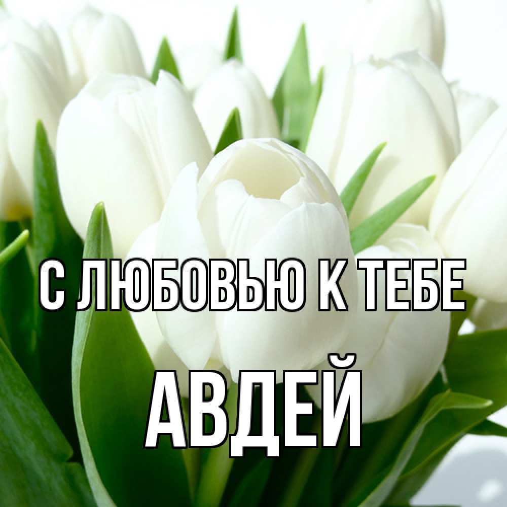 Открытка  с именем. Авдей, С любовью к тебе  