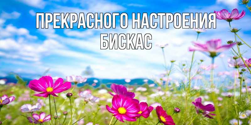 Открытка с именем, Бискас, Прекрасного настроения