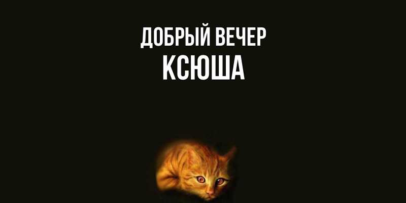Картинка Добрый вечер, Ксюша