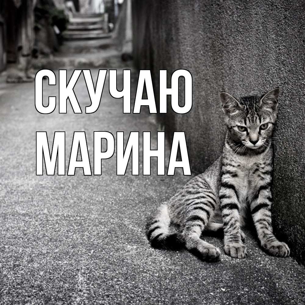 Открытка  с именем. Марина, Скучаю  