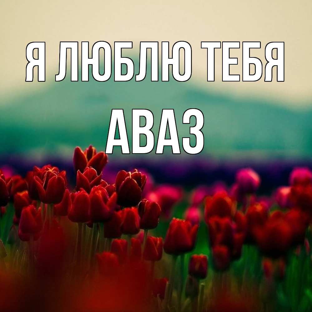 Открытка  с именем. Аваз, Я люблю тебя  